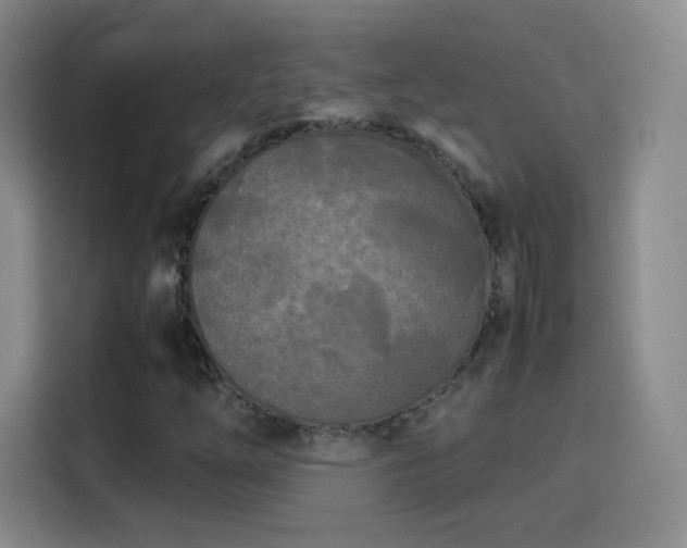 X0000114111254200910131335