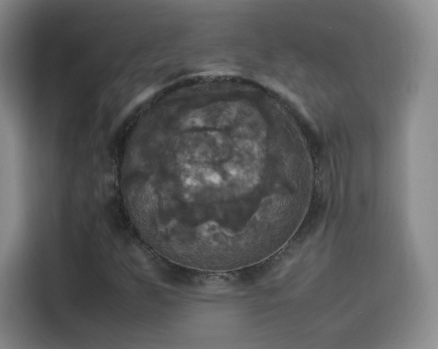 X0000114111255200910131335