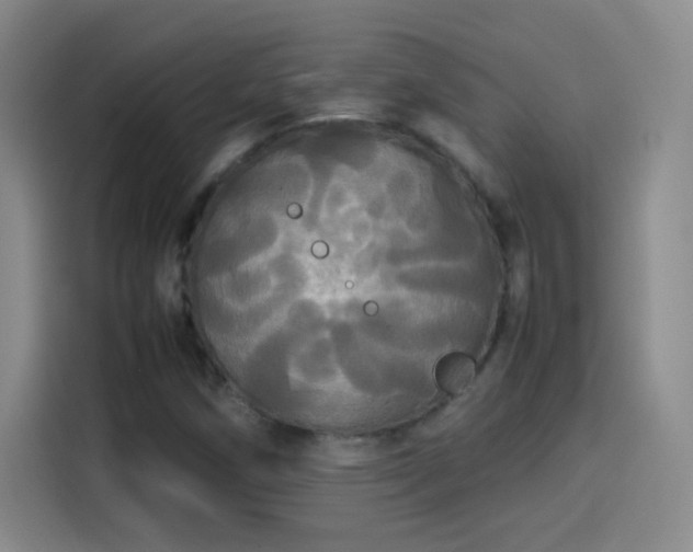 X0000114111258200910131335