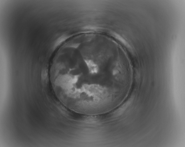 X0000114111259200910131335