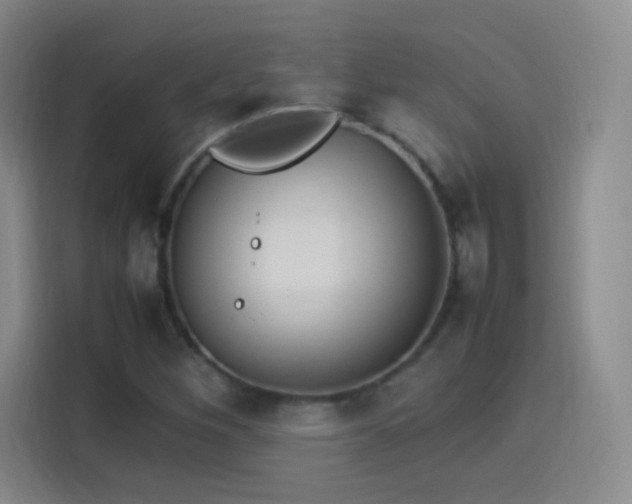 X0000114111260200910131335