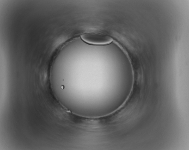 X0000114111261200910131335