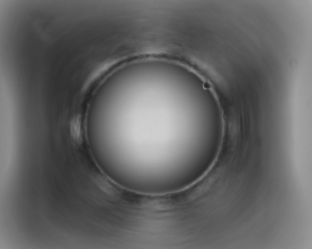 X0000114111262200910131335