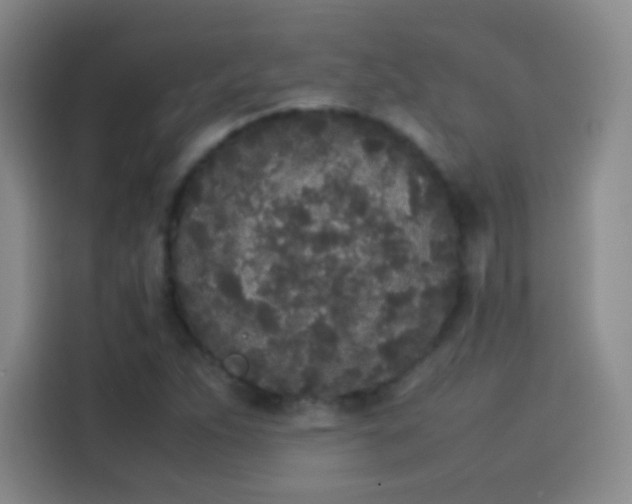 X0000114111263200910131335