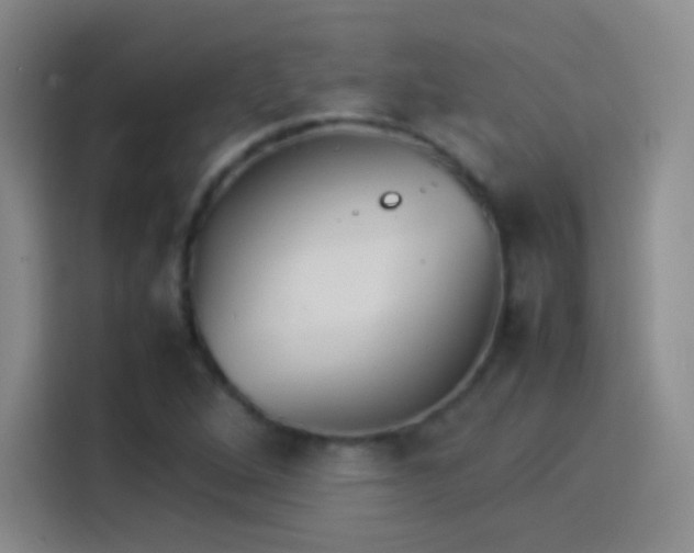 X0000114111264200910131335