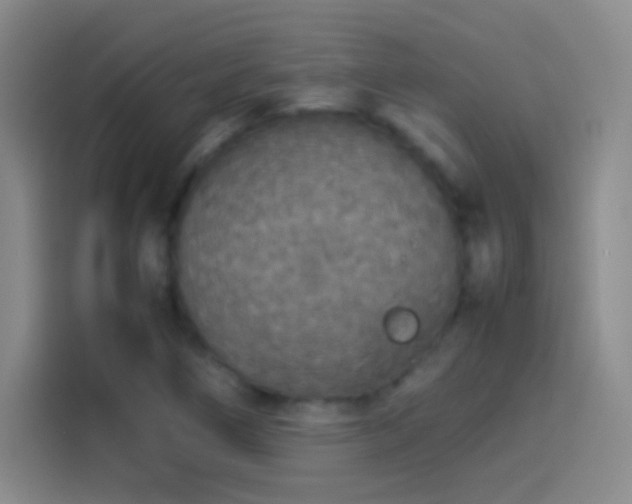 X0000114111266200910131335