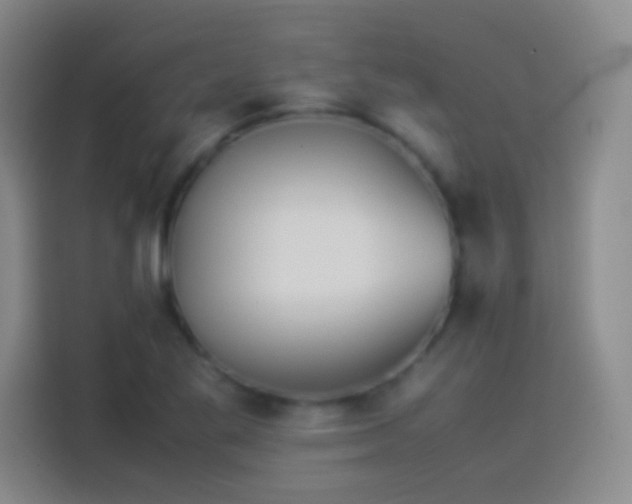 X0000114111269200910131335