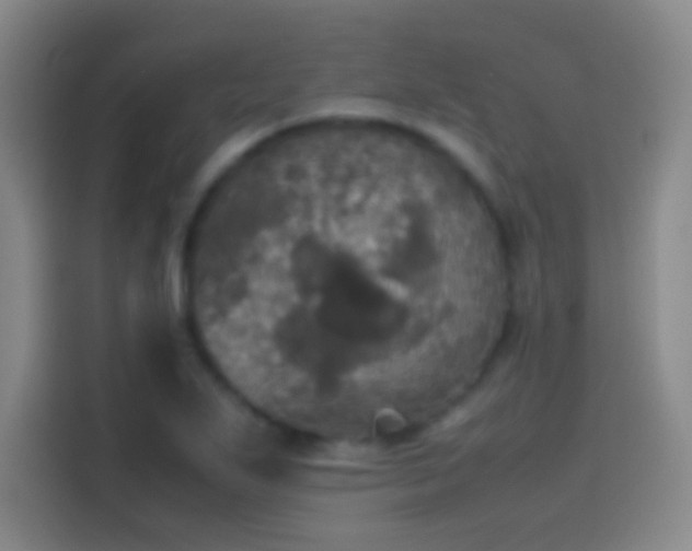 X0000114111271200910131335