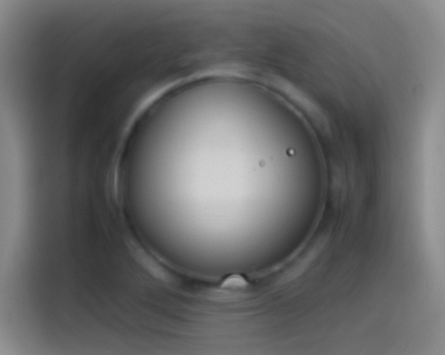 X0000114111272200910131335