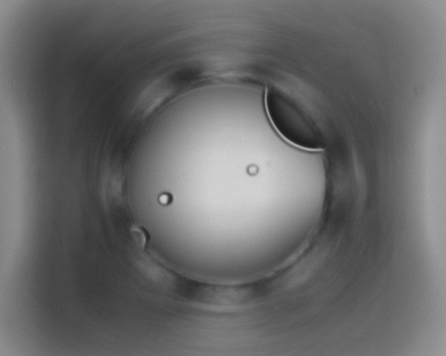 X0000114111273200910131335