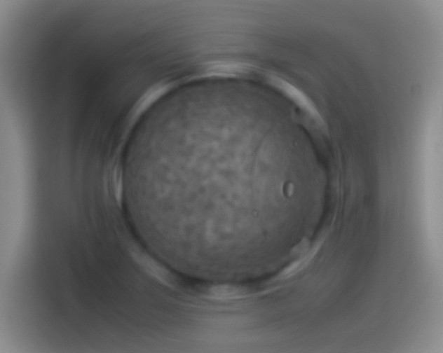 X0000114111275200910131335