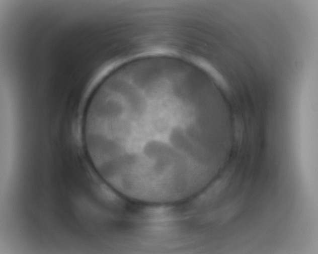 X0000114111278200910131335