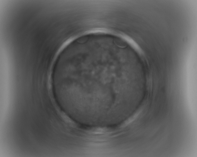 X0000114111279200910131335