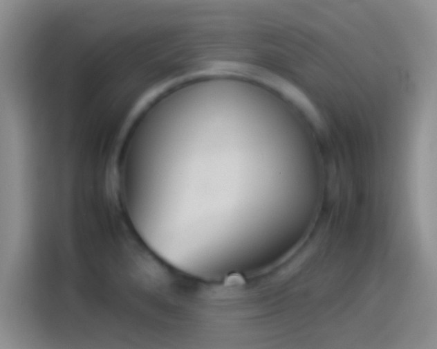 X0000114111280200910131335