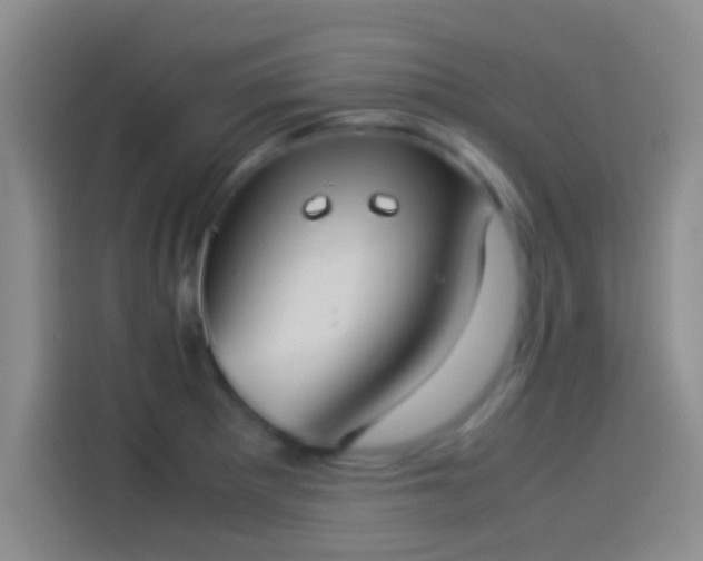 X0000114111281200910131335