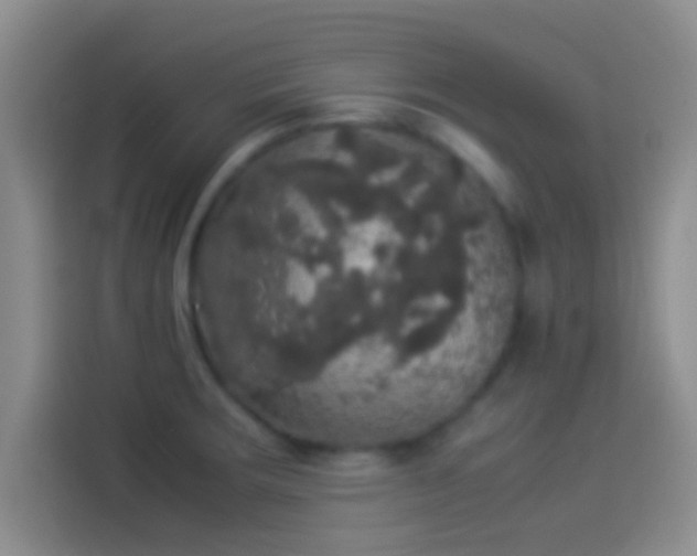X0000114111283200910131335