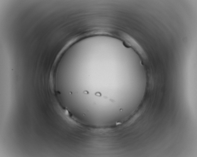X0000114111284200910131335