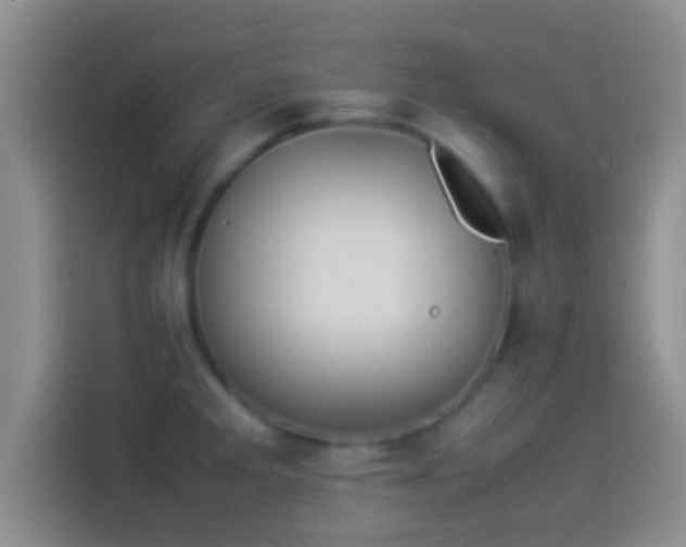 X0000114111285200910131335