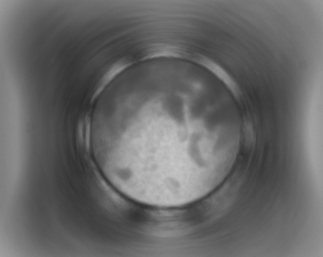 X0000114111290200910131335