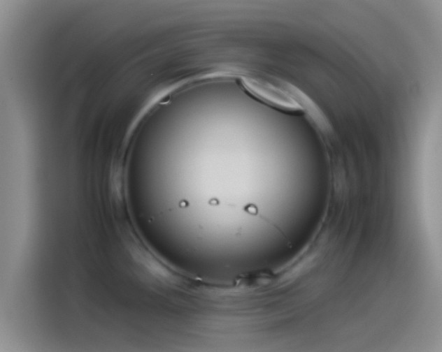 X0000114111292200910131335