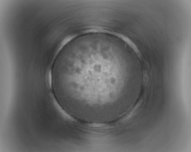 X0000114111295200910131335