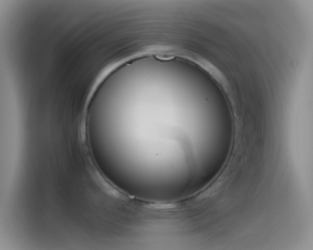 X0000114111296200910131335