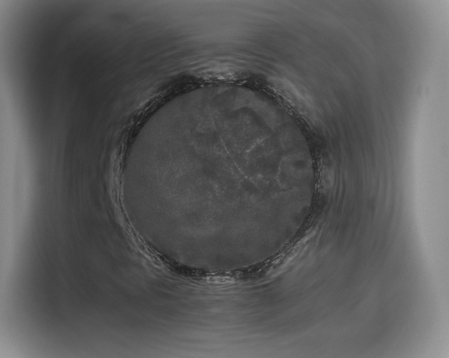 X0000114111297200910131334