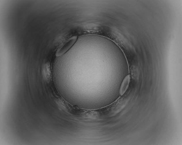 X0000114111298200910131334