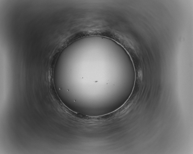 X0000114111300200910131334