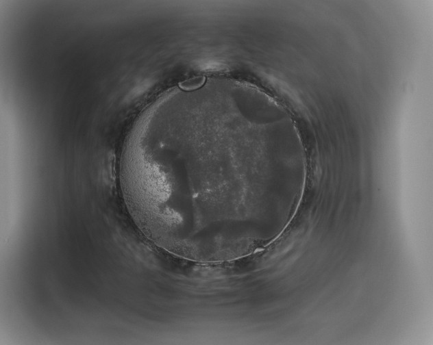 X0000114111301200910131334