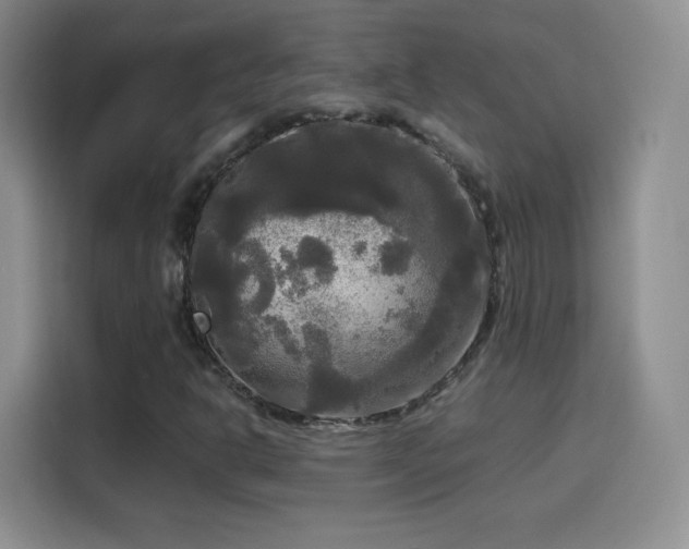 X0000114111302200910131334