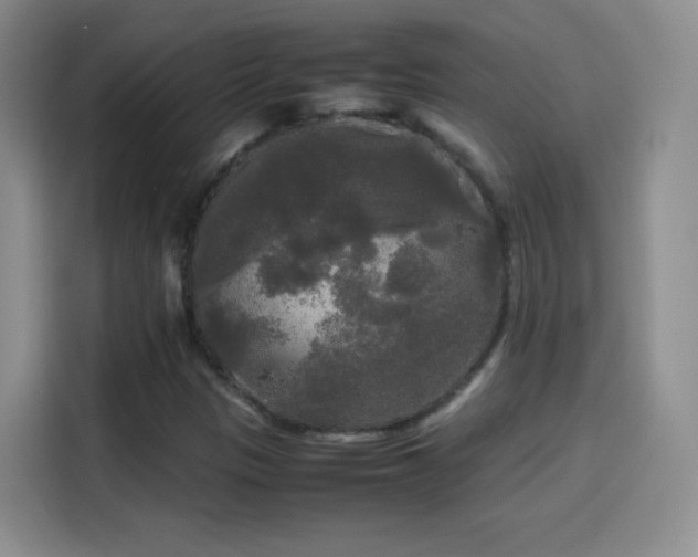 X0000114111305200910131334