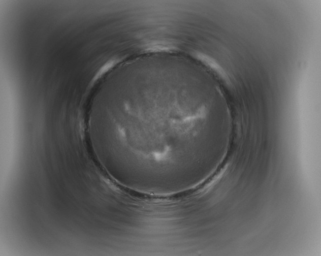 X0000114111306200910131334