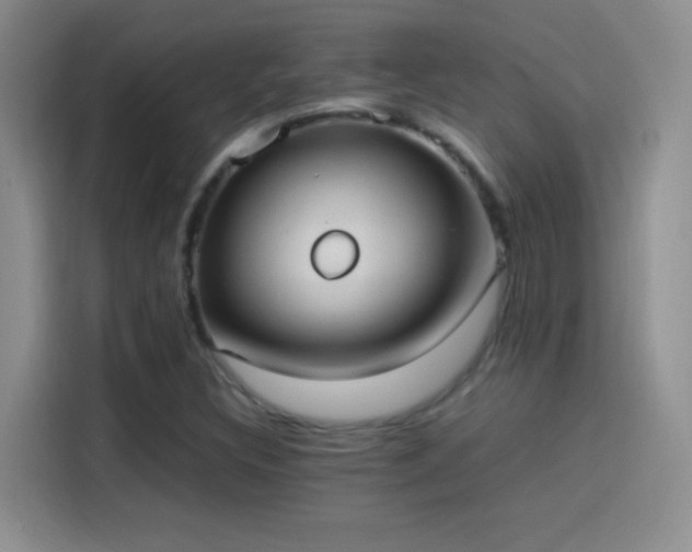 X0000114111308200910131334