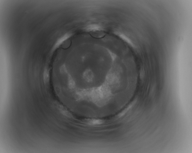 X0000114111309200910131334