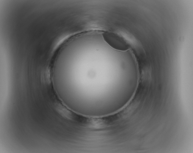 X0000114111310200910131334