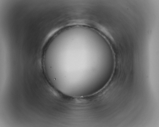 X0000114111312200910131334