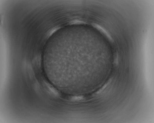 X0000114111313200910131334