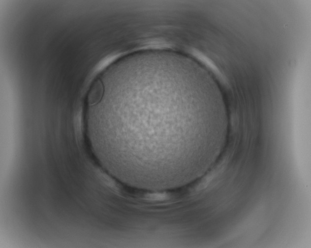 X0000114111315200910131334