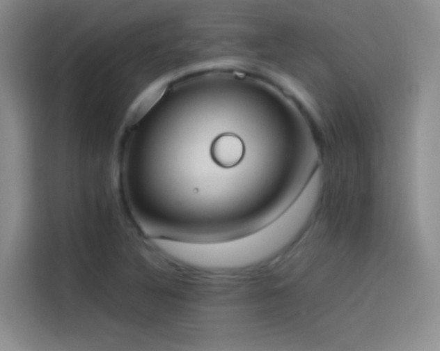 X0000114111316200910131334