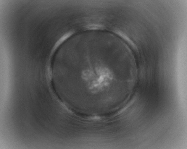 X0000114111317200910131334