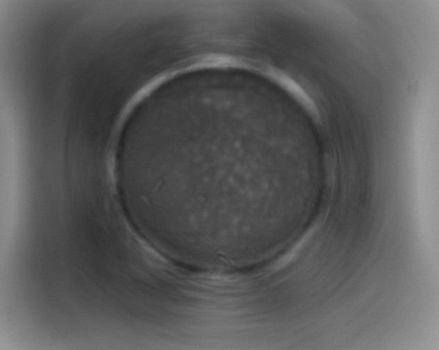 X0000114111318200910131334