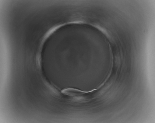 X0000114111319200910131334
