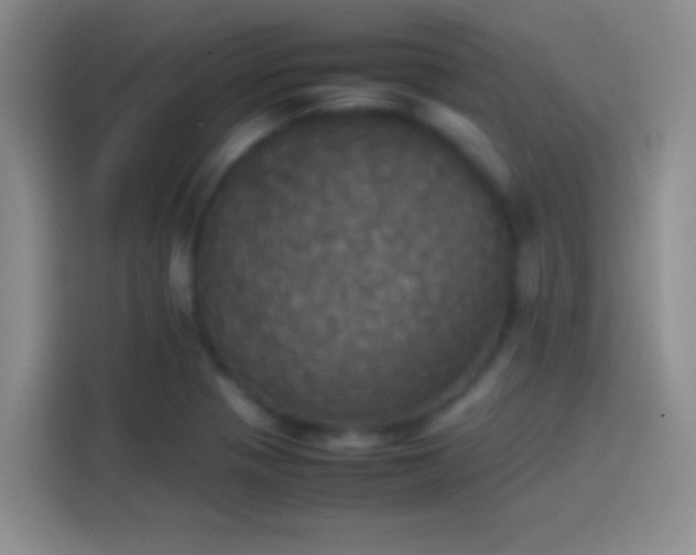 X0000114111321200910131334
