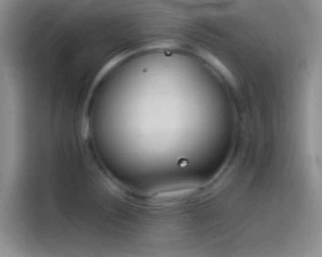 X0000114111324200910131334
