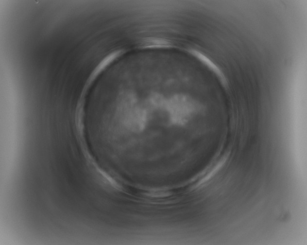 X0000114111325200910131334
