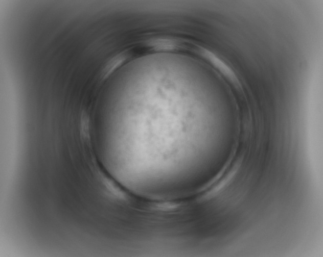 X0000114111329200910131334
