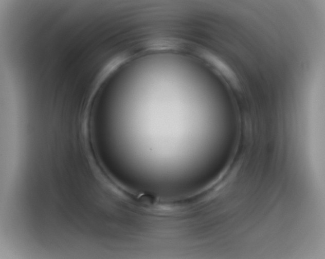 X0000114111330200910131334