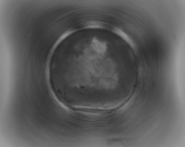 X0000114111331200910131335