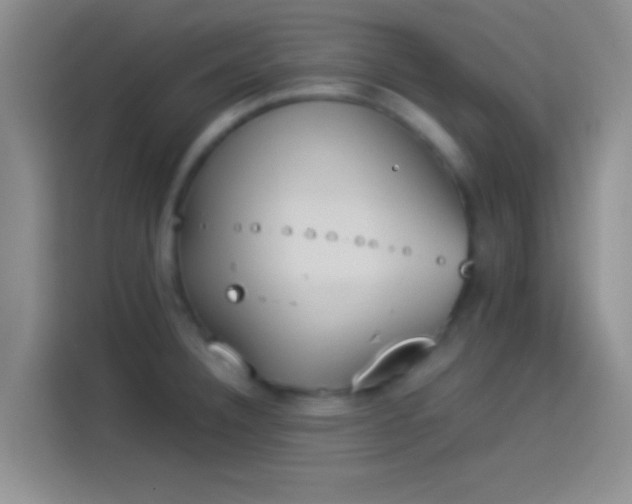 X0000114111332200910131335